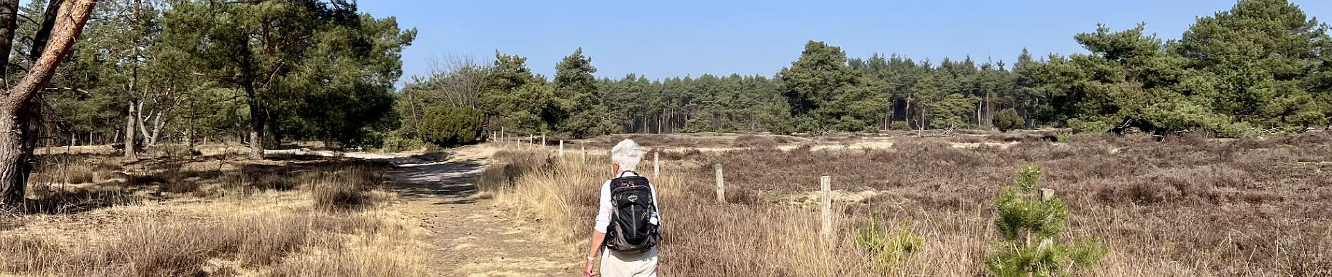 Klik om de knoppen te tonen of te verbergen