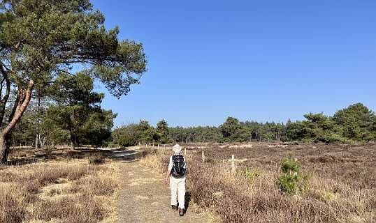 Wandeling op de  Natuurbegraafplaats Hoogengraven