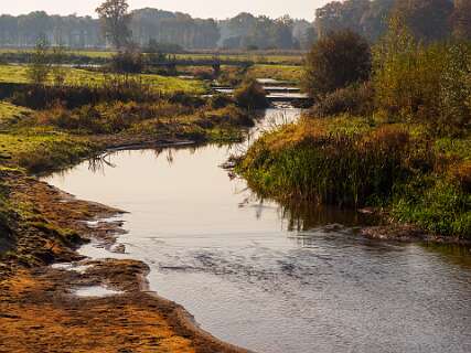 Dode arm van de Vecht