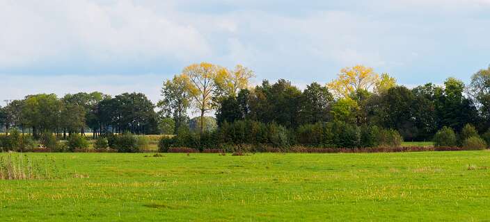 Beerze, Stegeren<br>De oevers van de Vecht