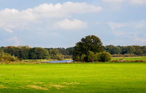 Beerze, Stegeren<br>De Vecht