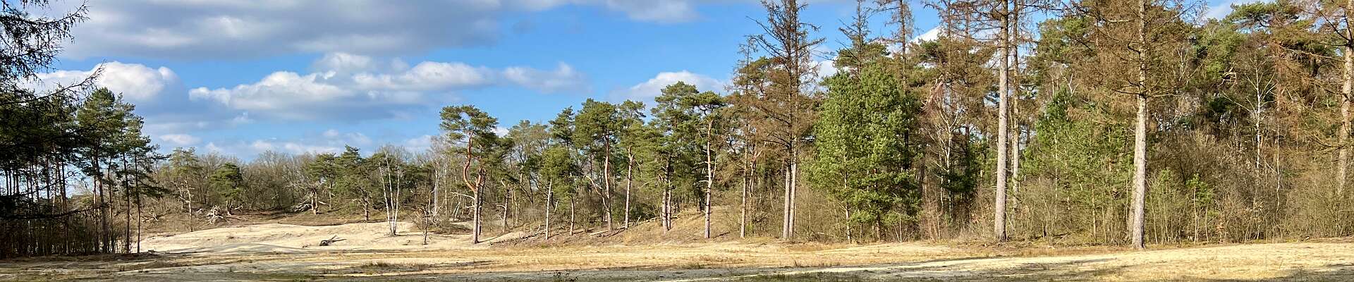 Klik om de knoppen te tonen of te verbergen