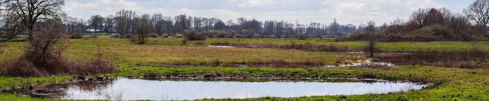 Klik om de knoppen te tonen of te verbergen