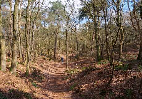 Rheeze, Rheezerbelten, Rheezermaten<br>Rheezerbelten