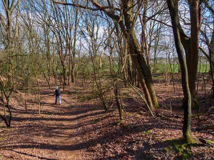 Rheeze, Rheezerbelten, Rheezermaten<br>Rheezerbelten