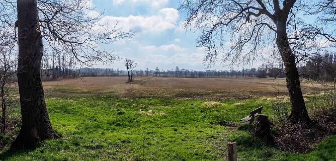 Rheeze, Rheezerbelten, Rheezermaten