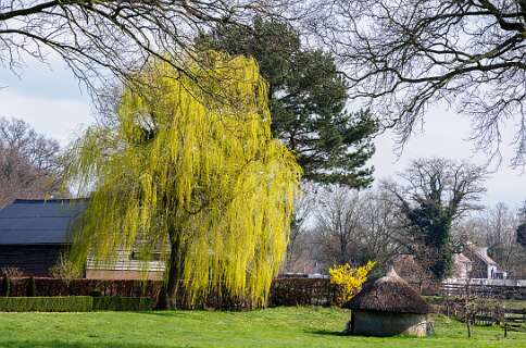 Rheeze, Rheezerbelten, Rheezermaten