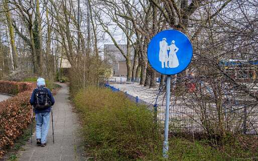 Rheeze, Rheezerbelten, Rheezermaten