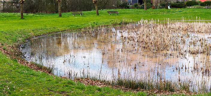 Rheeze, Rheezerbelten, Rheezermaten