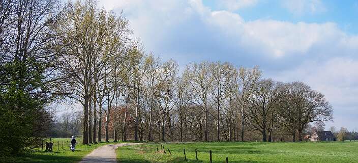 Rheeze, Rheezerbelten, Rheezermaten