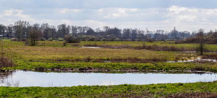 Rheeze, Rheezerbelten, Rheezermaten<br>In de verte de Vecht