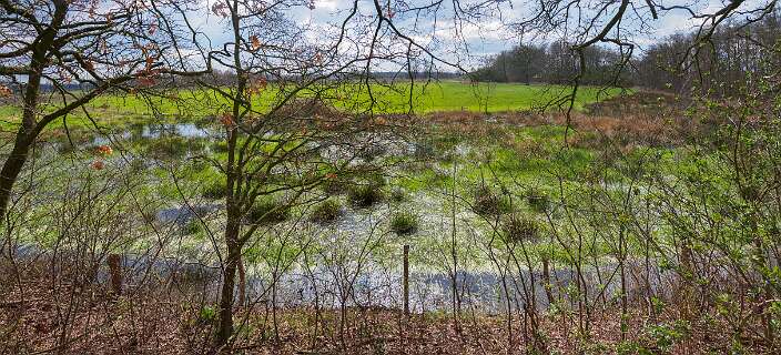 Rheeze, Rheezerbelten, Rheezermaten