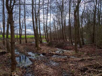 Rheeze, Rheezerbelten, Rheezermaten<br>Broekbos in de Rheezermaten