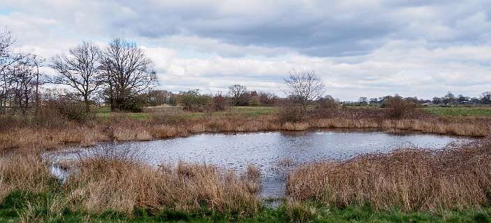 Rheeze, Rheezerbelten, Rheezermaten