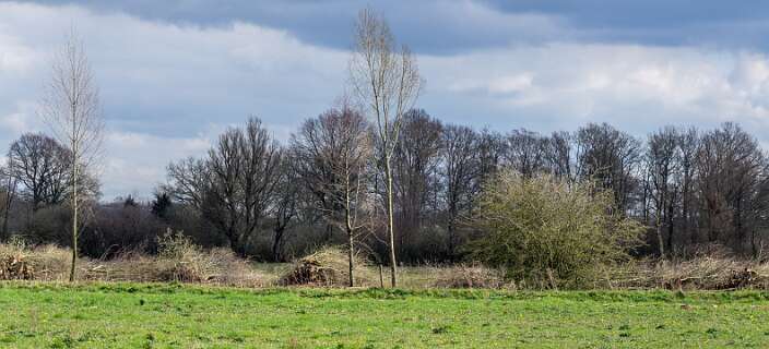 Rheeze, Rheezerbelten, Rheezermaten<br>De Vecht