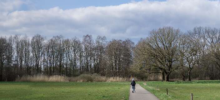 Rheeze, Rheezerbelten, Rheezermaten