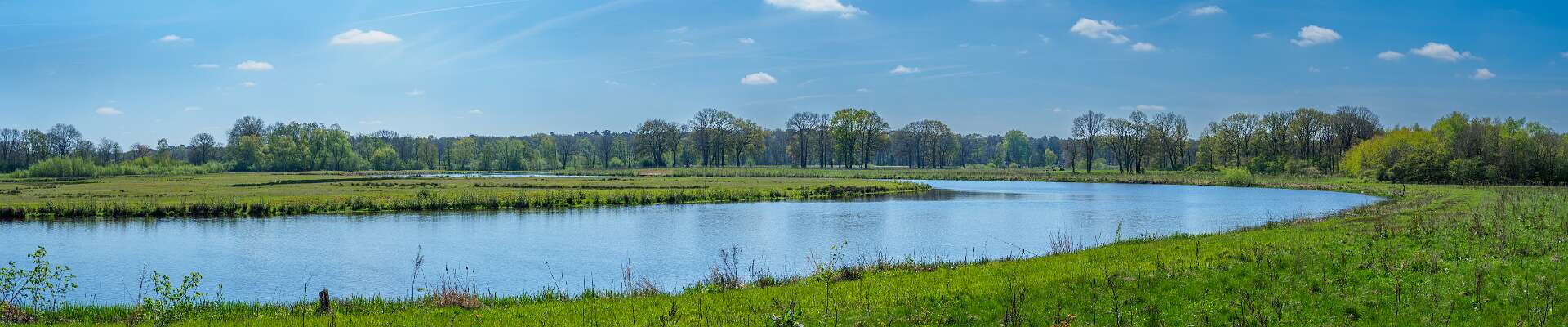 Klik om de knoppen te tonen of te verbergen