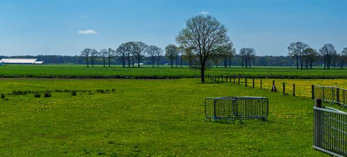Het Vechtdal, de Vecht loopt achter de boom