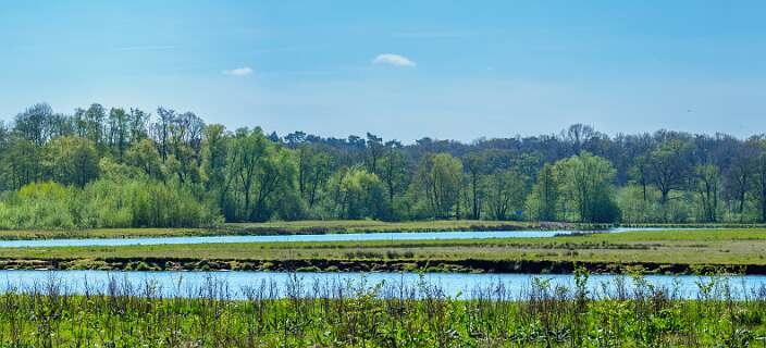 Voor de hoofdstroom, achter een oude bedding