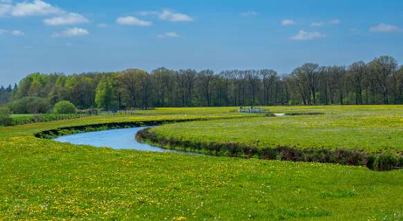 Een oude zijtak van de Vecht