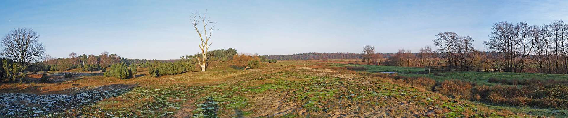 Klik om de knoppen te tonen of te verbergen