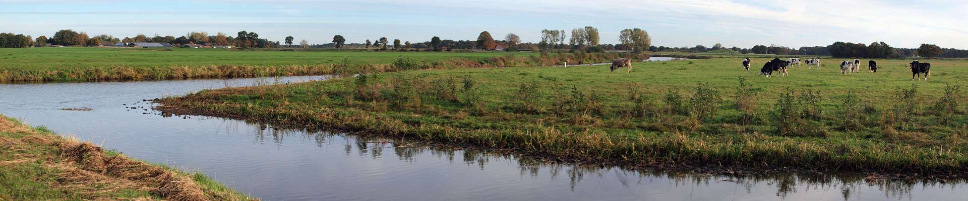 Klik om de knoppen te tonen of te verbergen