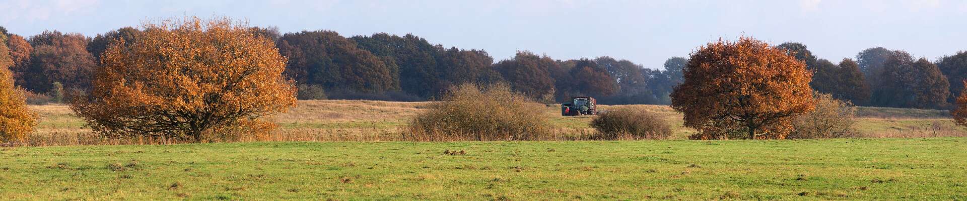 Klik om de knoppen te tonen of te verbergen