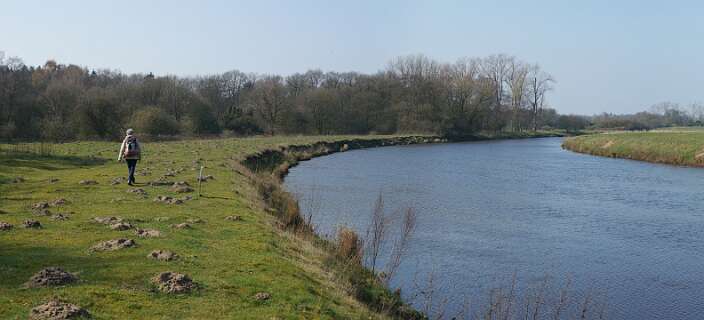 Trefwoord<br>De Vecht