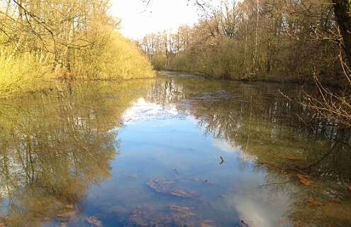 Een dode arm van de Vecht
