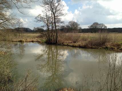 Dode arm van de Vecht