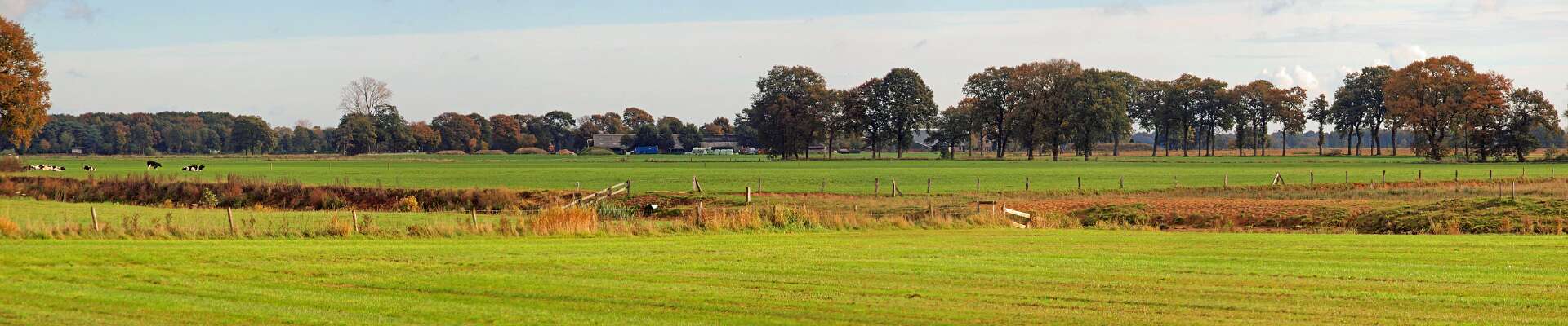 Klik om de knoppen te tonen of te verbergen