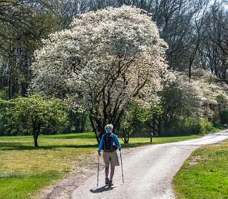 Rond camping<br>de Roos
