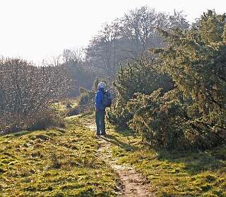 De Vecht bij<br>Arrien