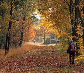 Junne - Ariën<br>in 2012