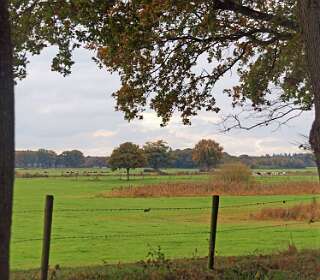 De Vecht bij<br> Stegeren in 2012