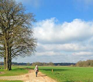 Ten zuiden van de<br>Vecht bij  Junne