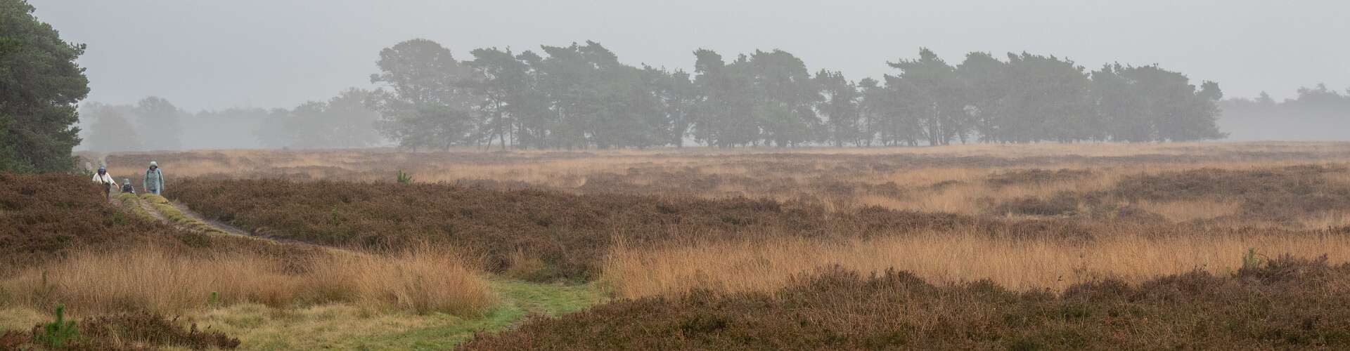 Klik om de knoppen te tonen of te verbergen