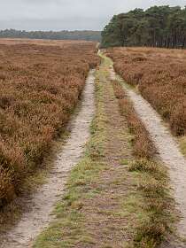 Deze weg hadden we niet in moeten gaan!
