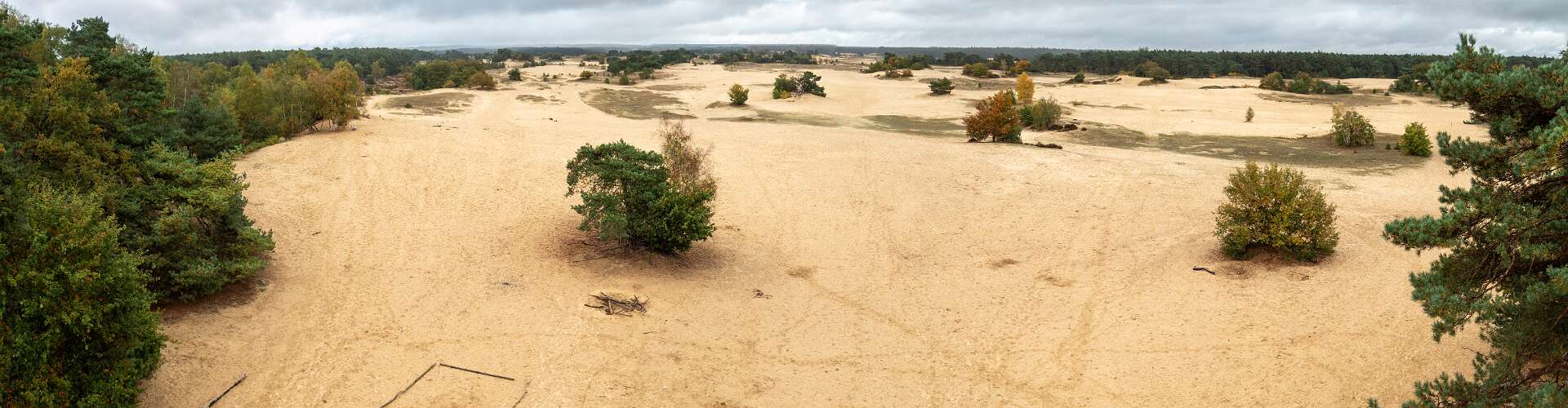 Klik om de knoppen te tonen of te verbergen