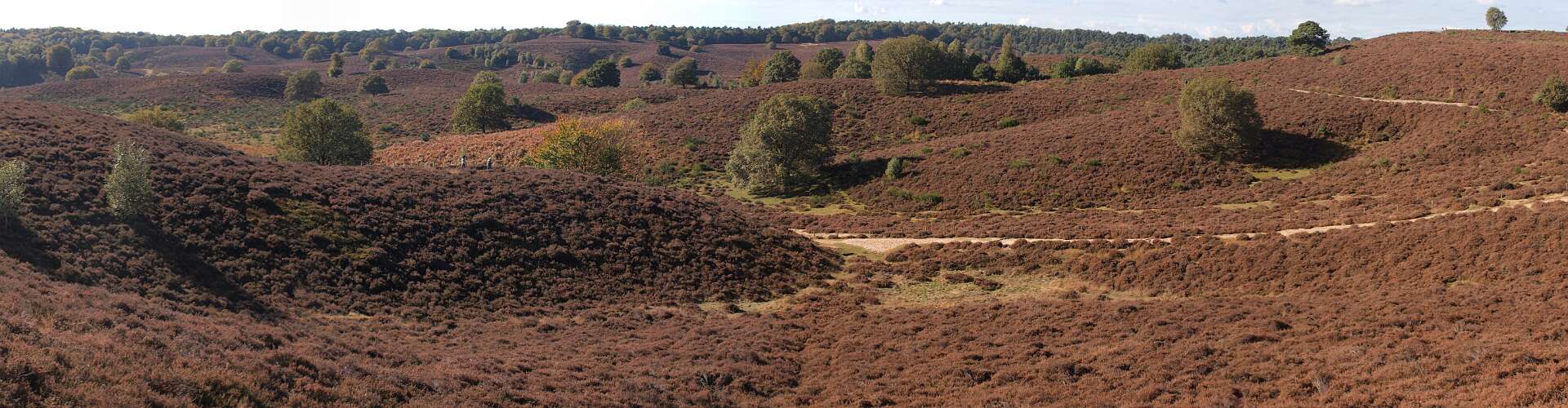 Klik om de knoppen te tonen of te verbergen