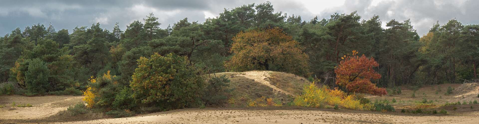 Klik om de knoppen te tonen of te verbergen
