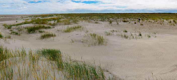 360° panorama van het Groene strand, klik op de expansie knop rechts bovenin