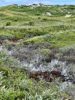 Ook hier veel wateroverlast