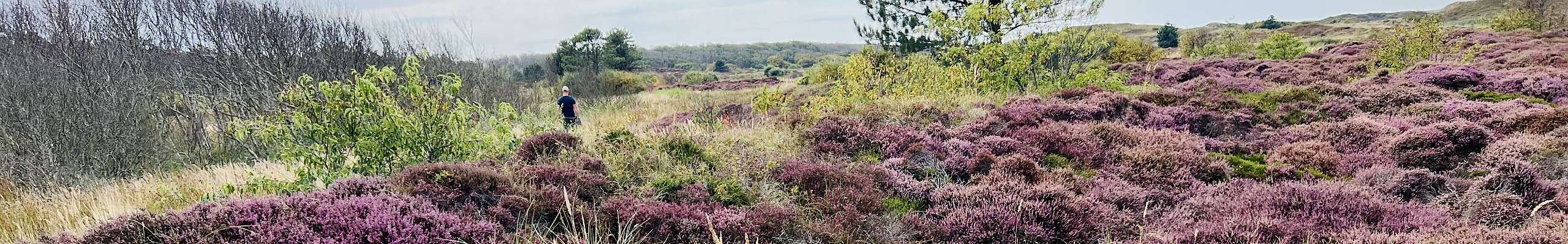 Klik om de knoppen te tonen of te verbergen