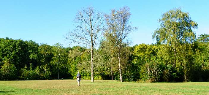 Speelweide 't Vierkante stuk