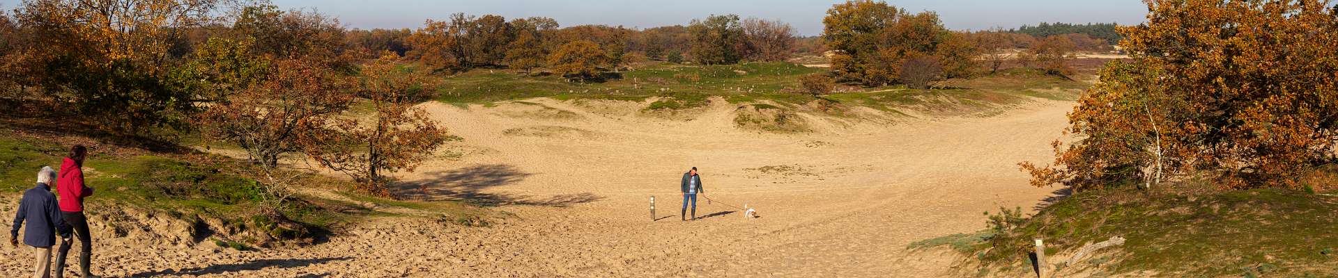 Klik om de knoppen te tonen of te verbergen