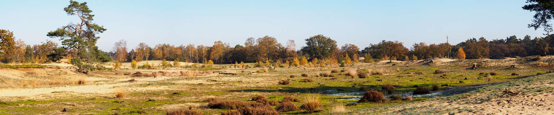 Klik om de knoppen te tonen of te verbergen