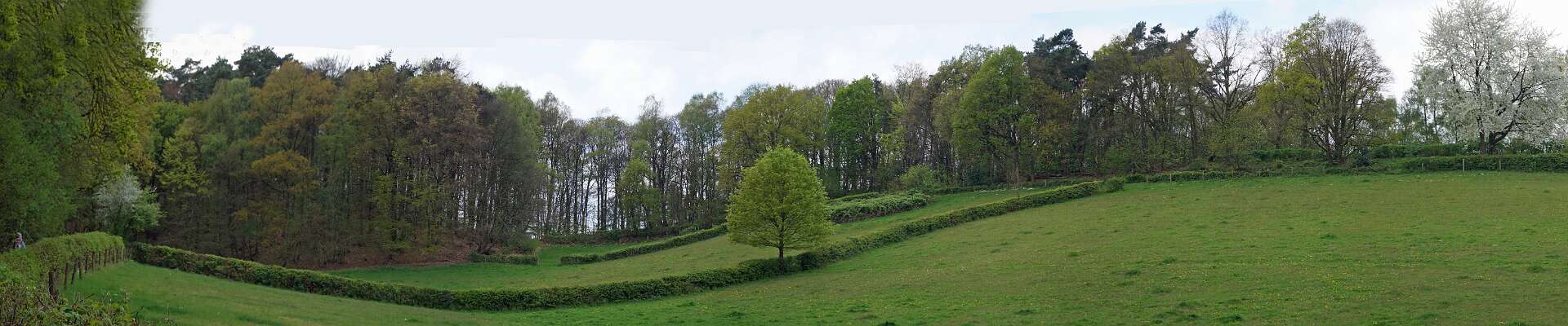 Klik om de knoppen te tonen of te verbergen