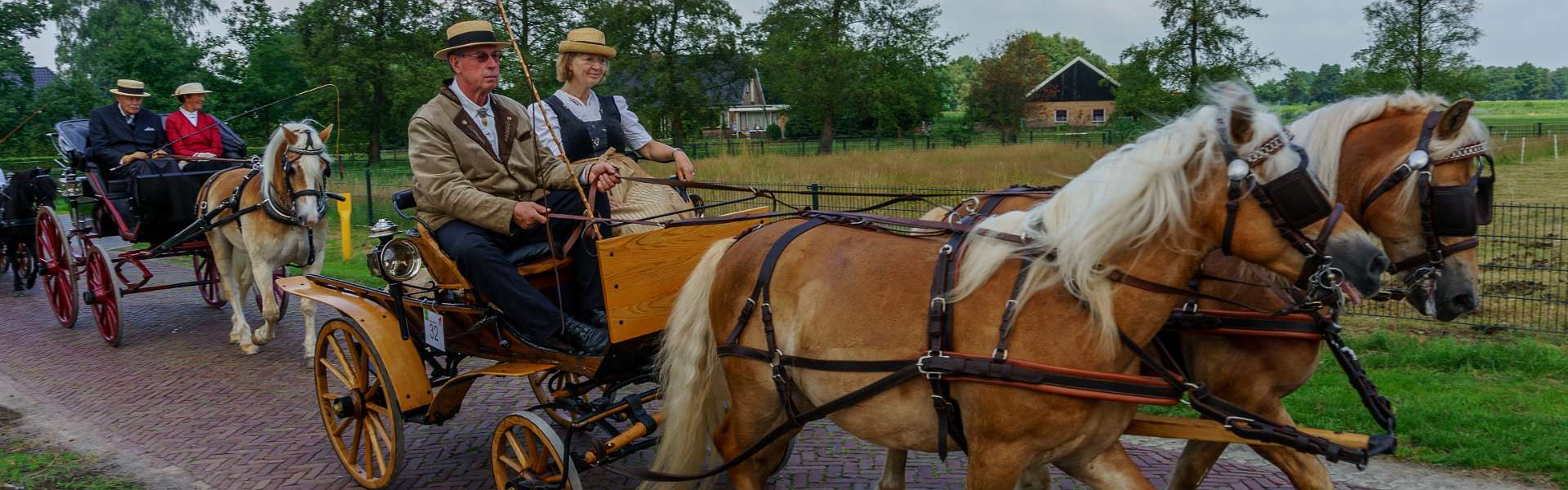 Klik om de knoppen te tonen of te verbergen
