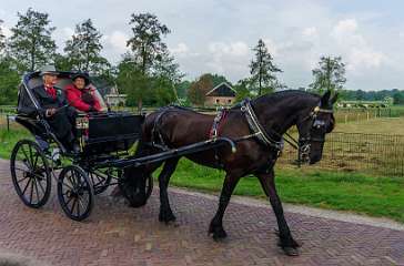 21e Eschrit Koets'n Keerls, Rijtuigen